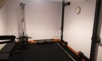 Gym - Fold away racks for increased space. 