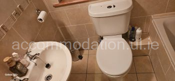 blank image