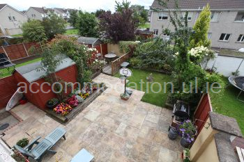 south facing back garden with bike shed