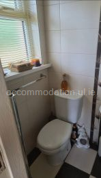 Separate toilet and shower room downstairs for student's private use. 