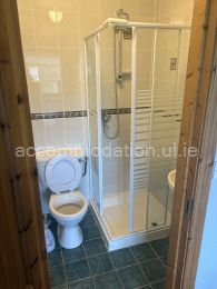 blank image
